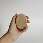 Rosemary Mint Shampoo Bar